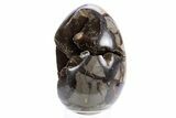 Septarian Dragon Egg Geode - Black Crystals #305796-2